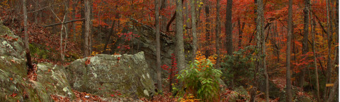 Welcome to Alabama's Adventurous Side